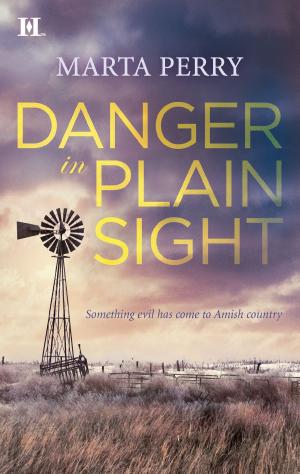 Cover of the book Danger in Plain Sight by Delores Fossen