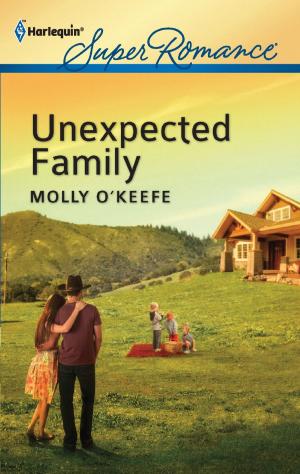 Cover of the book Unexpected Family by Raye Morgan
