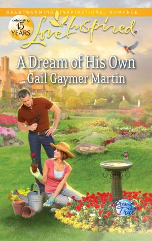 Cover of the book A Dream of His Own by Valerie Hansen