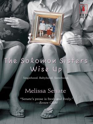 Book cover of THE SOLOMON SISTERS WISE UP