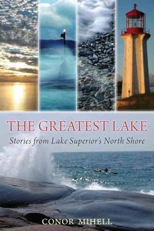 Cover of the book The Greatest Lake by David Vanek