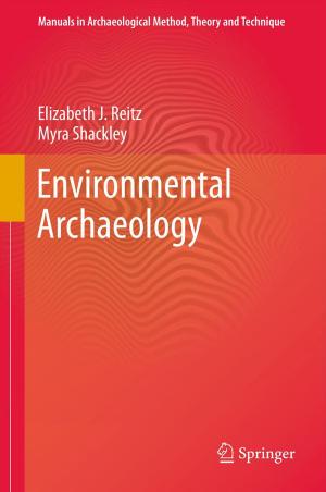 Cover of the book Environmental Archaeology by Benjamín Collado Hinarejos