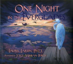 Cover of the book One Night in the Everglades by David Urick