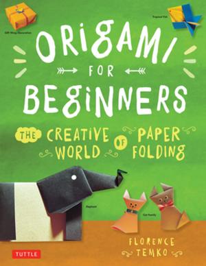 Cover of the book Origami for Beginners by Michael G. LaFosse