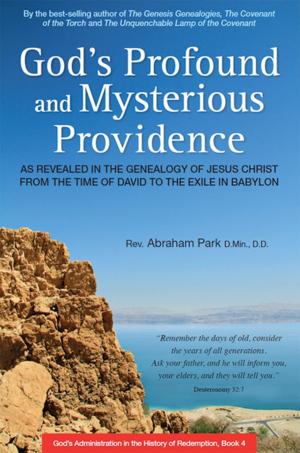 Cover of the book God's Profound and Mysterious Providence by Sven Krauss, Laurent Ganguillet
