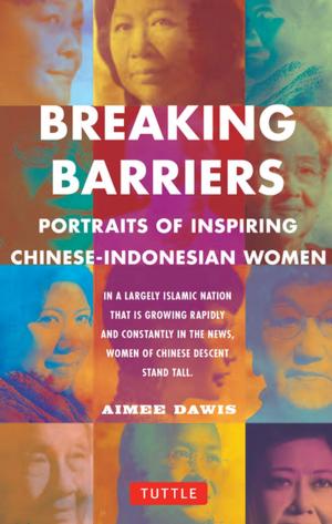 Cover of the book Breaking Barriers by Shelley Fu