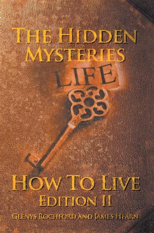 Book cover of The Hidden Mysteries