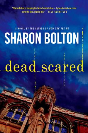 Cover of the book Dead Scared by Julia Keller
