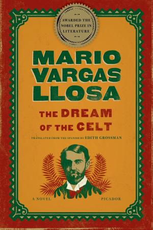 Book cover of The Dream of the Celt