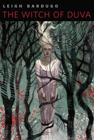 Cover of the book The Witch of Duva by Hayley Patton