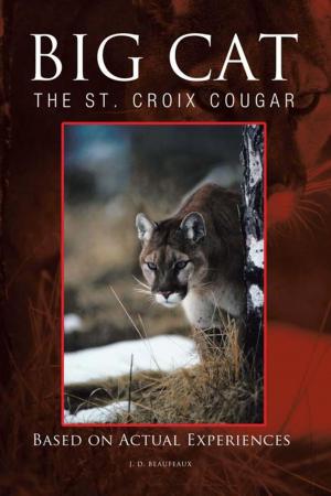Cover of the book Big Cat by Winona Phillips Donnally