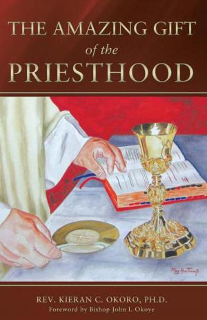 bigCover of the book The Amazing Gift of the Priesthood by 