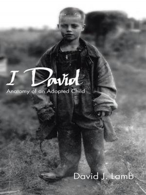 Cover of the book I David by Denise McKay