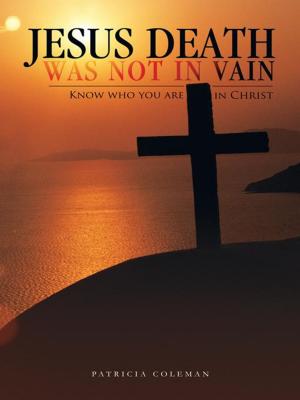 Cover of the book Jesus Death Was Not in Vain by DAVID T. GILBERT.