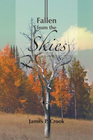 Cover of the book Fallen from the Skies by Alexandra Paulinus Morin