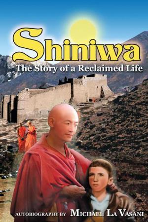 Cover of the book Shiniwa by Glen Moller