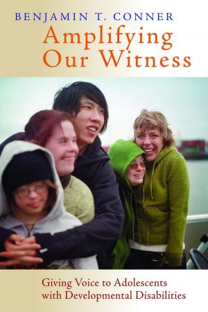 Cover of the book Amplifying Our Witness by Debbie Blue