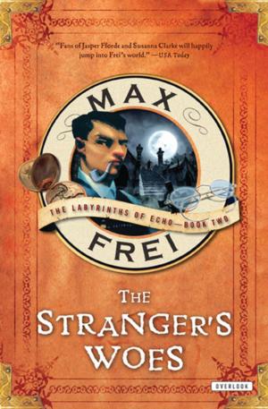 Cover of the book The Stranger's Woes by Mac Barnett, Jory John
