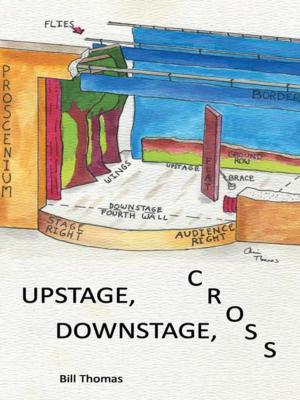 Cover of the book Upstage, Downstage, Cross by Nicole Cifax-Garner