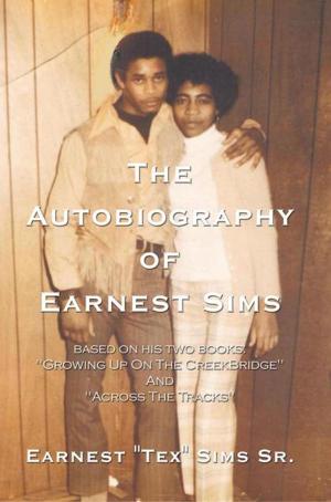 Cover of the book The Autobiography of Earnest Sims by Djina Remy