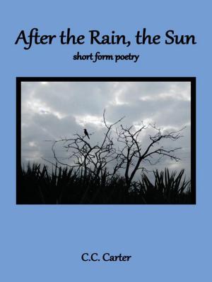 Cover of the book After the Rain, the Sun by John Lewis, Edna Lewis