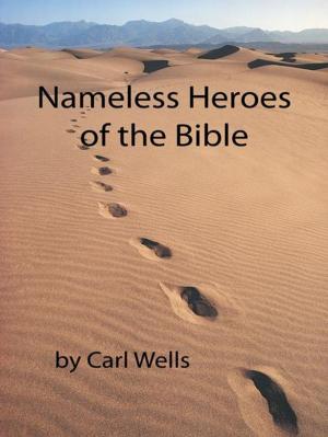 Book cover of Nameless Heroes of the Bible