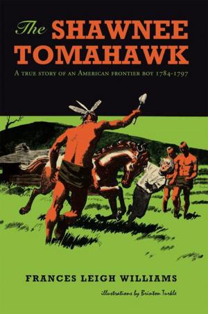 Cover of the book The Shawnee Tomahawk by Angie Korchevskaya