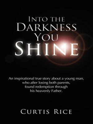 Book cover of Into the Darkness You Shine
