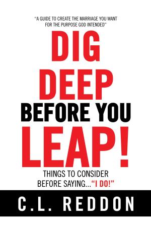 Cover of the book Dig Deep Before You Leap by Cece Akunna
