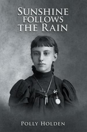 Cover of the book Sunshine Follows the Rain by Jamie Horwath