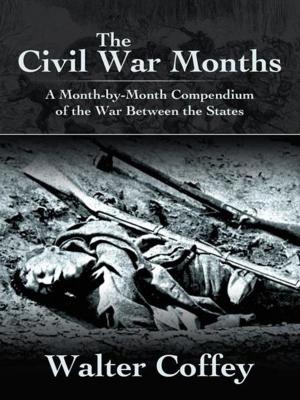Cover of the book The Civil War Months by RaeDeen Heupel