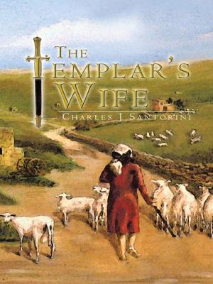 Cover of the book The Templar’S Wife by Lucy Fells