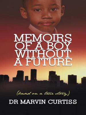 Cover of the book Memoirs of a Boy Without a Future by Matthew Oreilly
