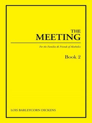 Book cover of The Meeting Book 2