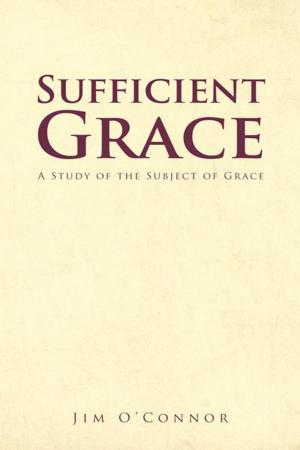 Cover of the book Sufficient Grace by Eugene Peterson