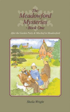 Cover of the book The Meadowford Mysteries – Book One by Sarah Ruth Scott