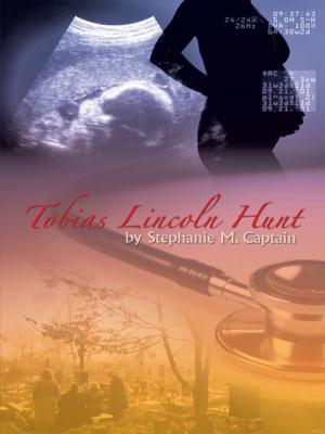 Book cover of Tobias Lincoln Hunt