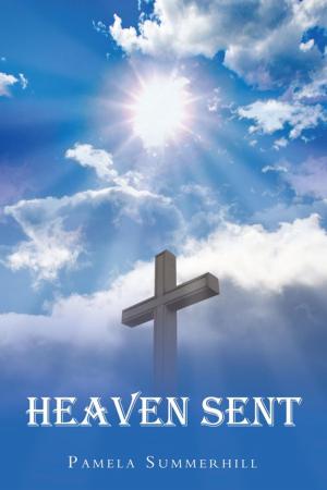 Cover of the book Heaven Sent by Janet Marshall