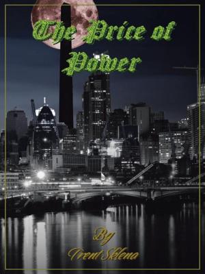 Cover of the book The Price of Power by Christine Conroy
