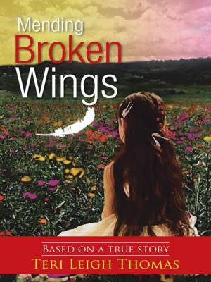 Cover of the book Mending Broken Wings by John Richard Shanebrook
