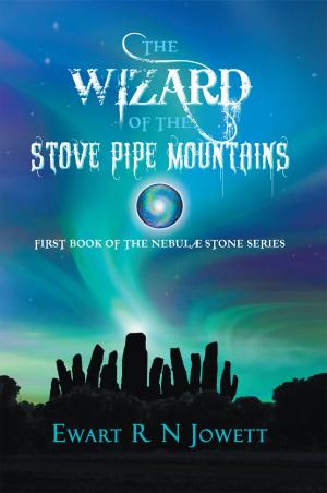 Book cover of The Wizard of the Stove Pipe Mountains