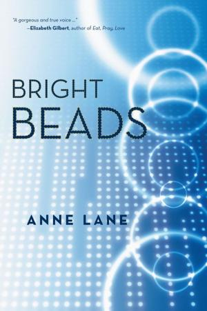 Cover of the book Bright Beads by Edward V. Van Slambrouck