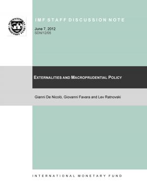 Cover of the book Externalities and Macro-Prudential Policy by Hoe Ee Khor, Roger P. Kronenberg, Patrizia Tumbarello