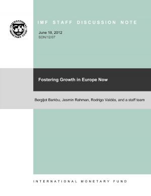 Cover of the book Fostering Growth in Europe Now by Bernard Mr. Laurens