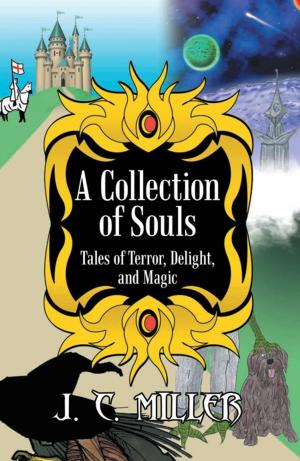 Cover of the book A Collection of Souls by Natasha P. Ellis