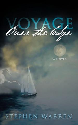 Cover of the book Voyage over the Edge by D.C. Quillan Stone