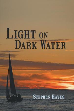 Book cover of Light on Dark Water