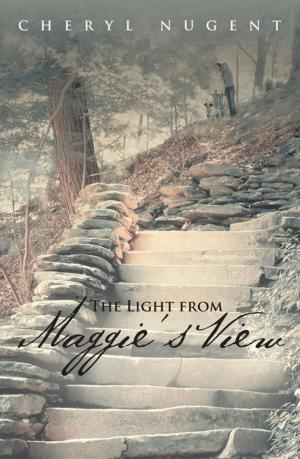 Book cover of The Light from Maggie’S View