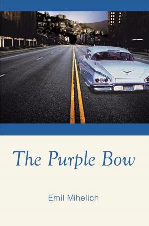 Book cover of The Purple Bow