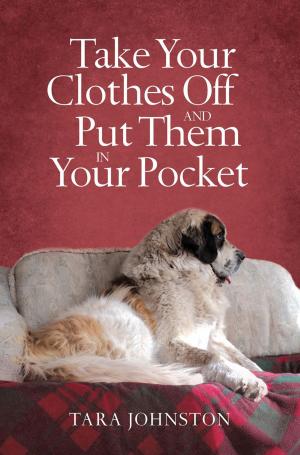 Cover of the book Take Your Clothes off and Put Them in Your Pocket by Daniel Reed